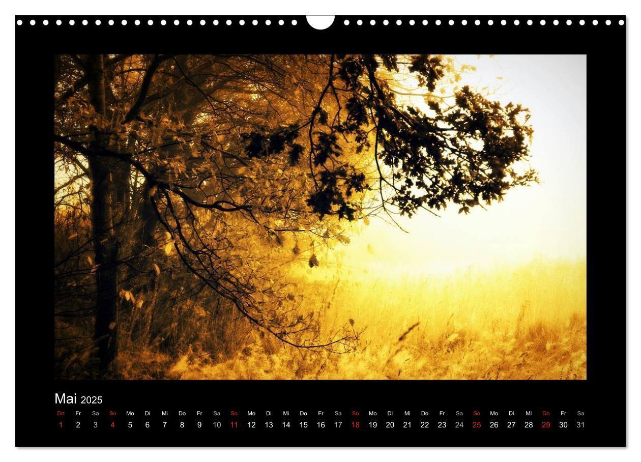 Bild: 9783435731732 | Landschaft Teufelsmoor / 2025 (Wandkalender 2025 DIN A3 quer),...