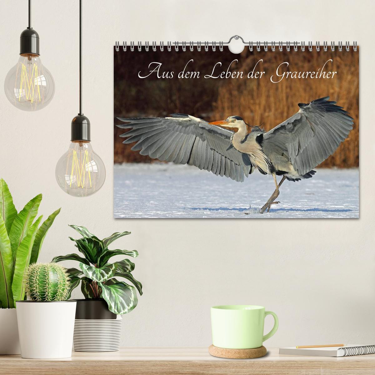 Bild: 9783435563067 | Aus dem Leben der Graureiher (Wandkalender 2025 DIN A4 quer),...