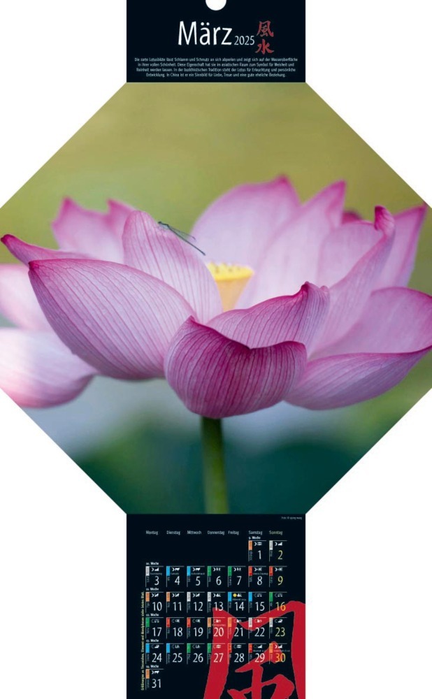 Bild: 9783948276300 | Feng-Shui-Kalender 2025 | Kalender | 15 S. | Deutsch | 2025