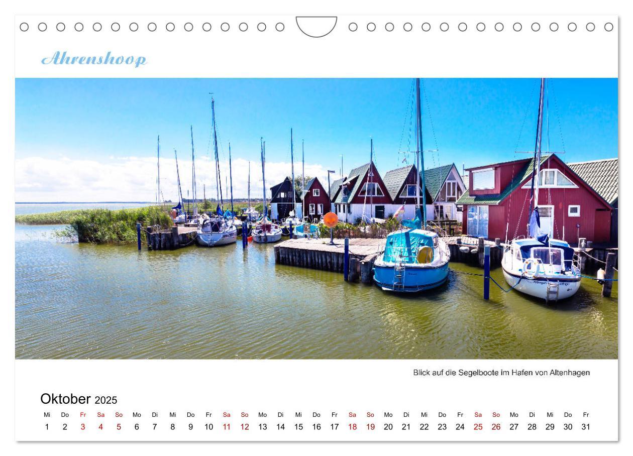 Bild: 9783435357949 | Panorama-Blick Fischland-Darss-Zingst (Wandkalender 2025 DIN A4...