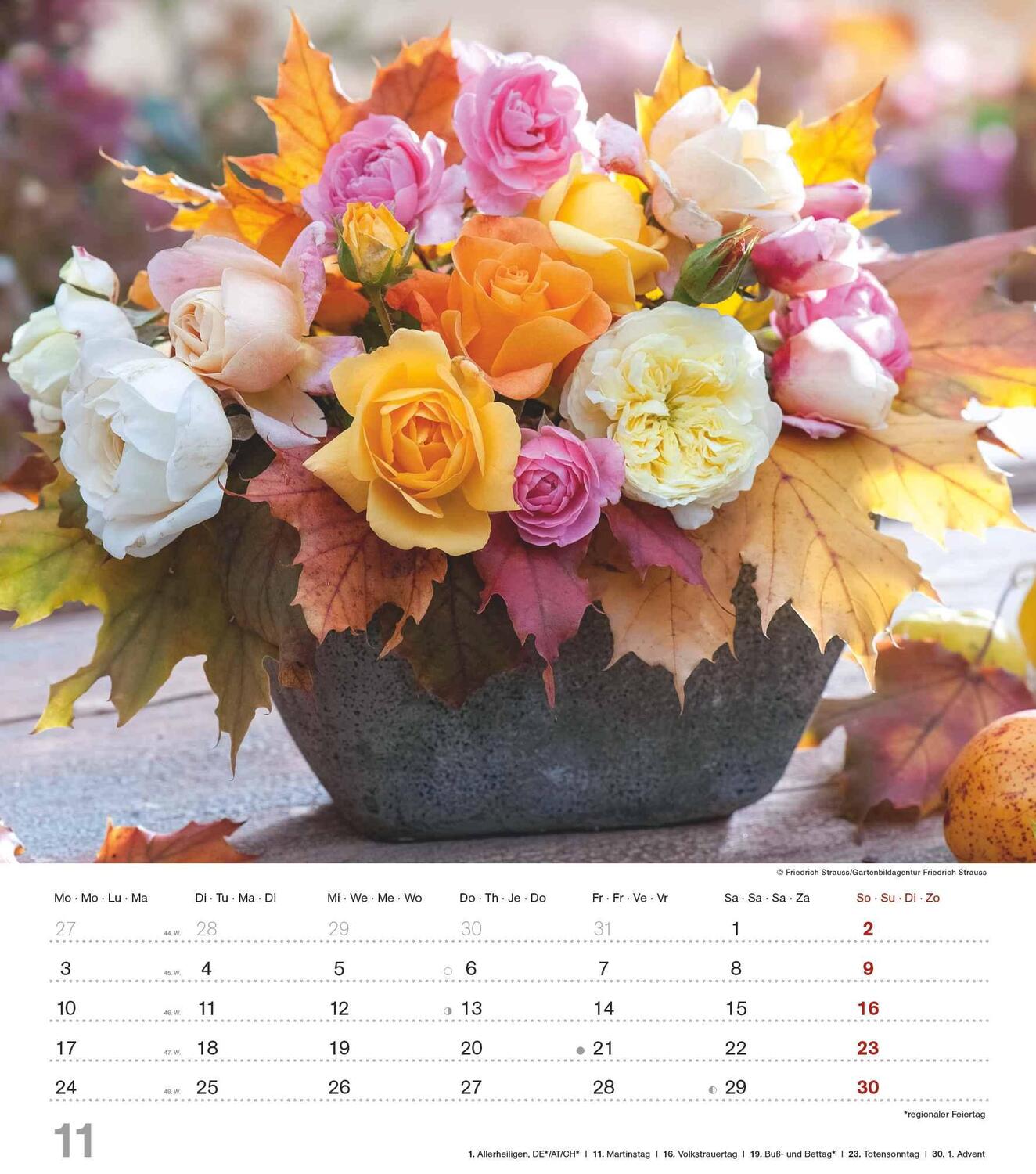 Bild: 4251732342135 | Der Duft der Rosen 2025 - Bildkalender 30x34 cm - Kalender mit wohl...