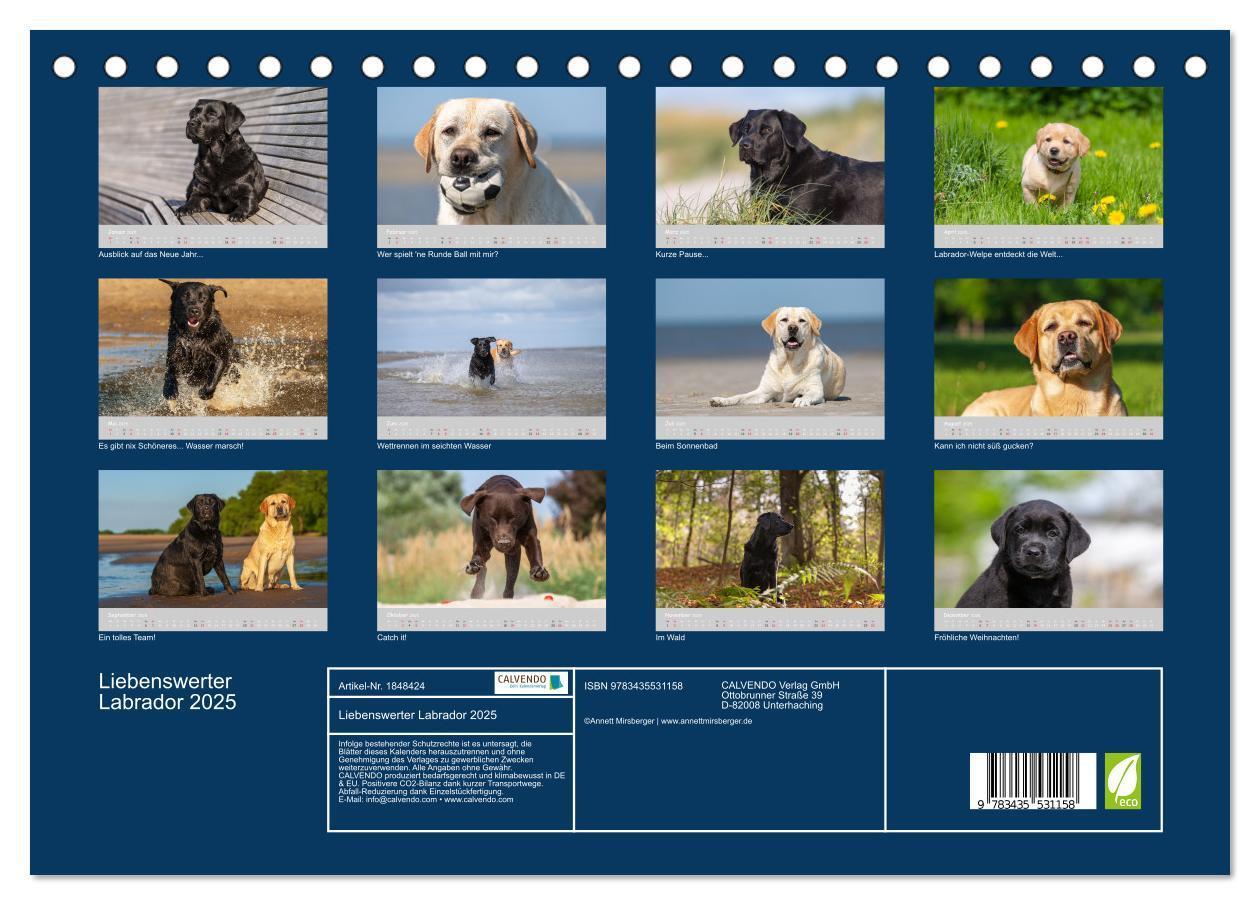 Bild: 9783435531158 | Liebenswerter Labrador 2025 (Tischkalender 2025 DIN A5 quer),...