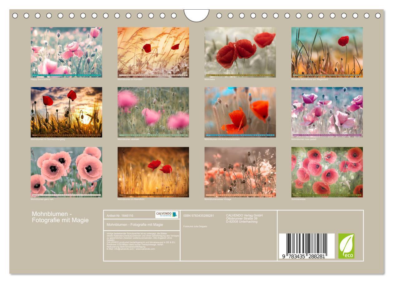 Bild: 9783435288281 | Mohnblumen - Fotografie mit Magie (Wandkalender 2025 DIN A4 quer),...