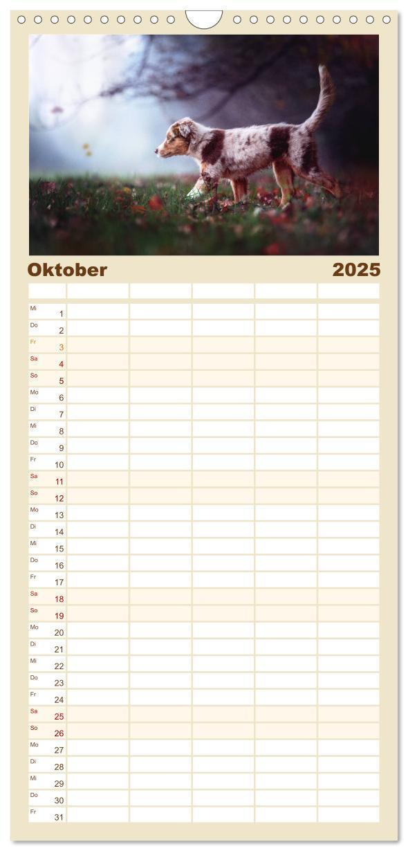 Bild: 9783457117330 | Familienplaner 2025 - Hundeseele mit 5 Spalten (Wandkalender, 21 x...