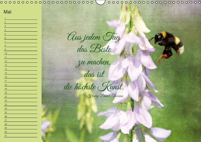 Bild: 9783660485721 | Spruchreifer Geburtstagskalender (Wandkalender immerwährend DIN A3...