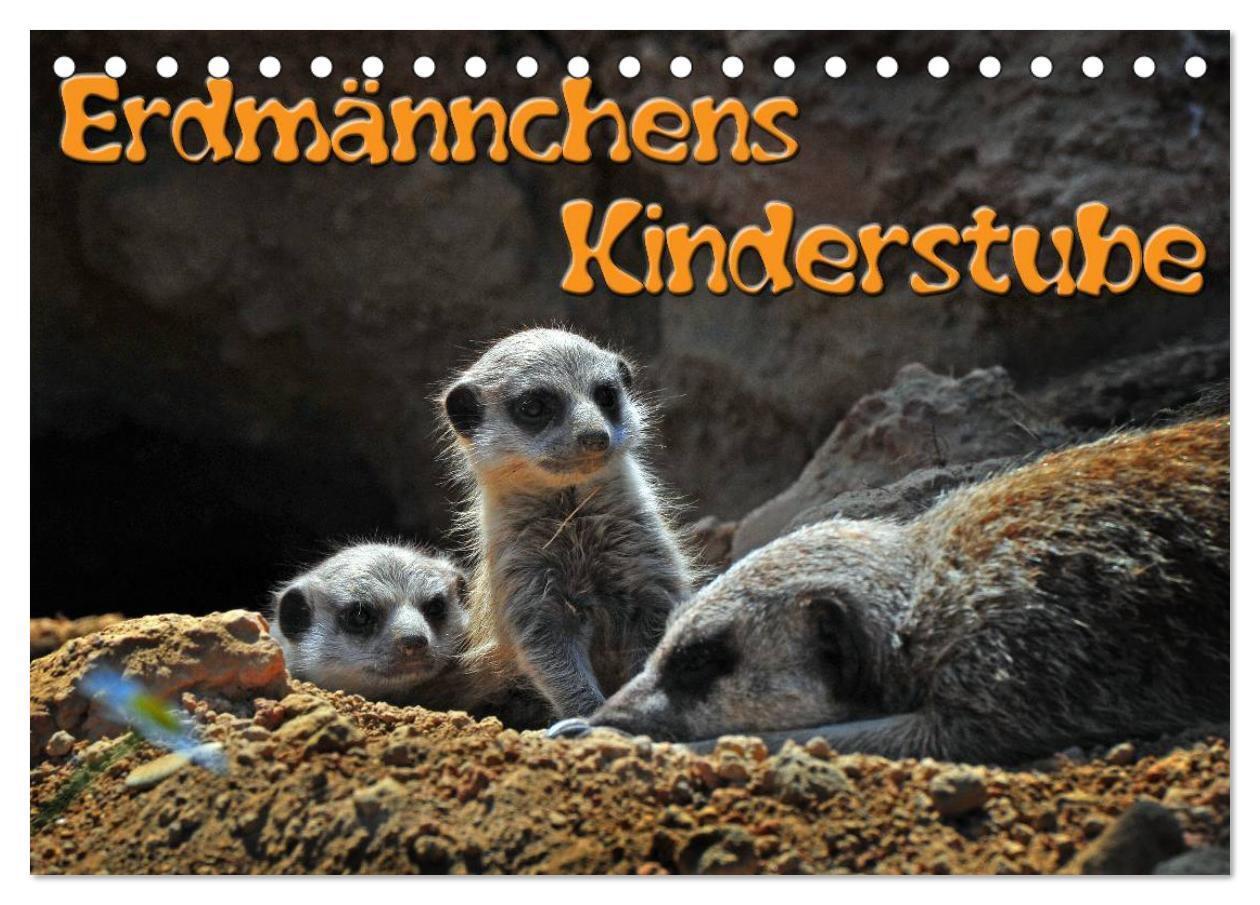 Cover: 9783435592203 | Erdmännchens Kinderstube (Tischkalender 2025 DIN A5 quer), CALVENDO...