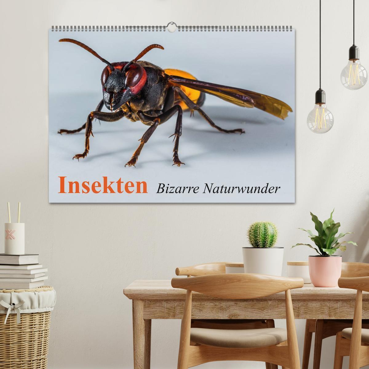 Bild: 9783435700752 | Insekten ¿ Bizarre Naturwunder (Wandkalender 2025 DIN A2 quer),...