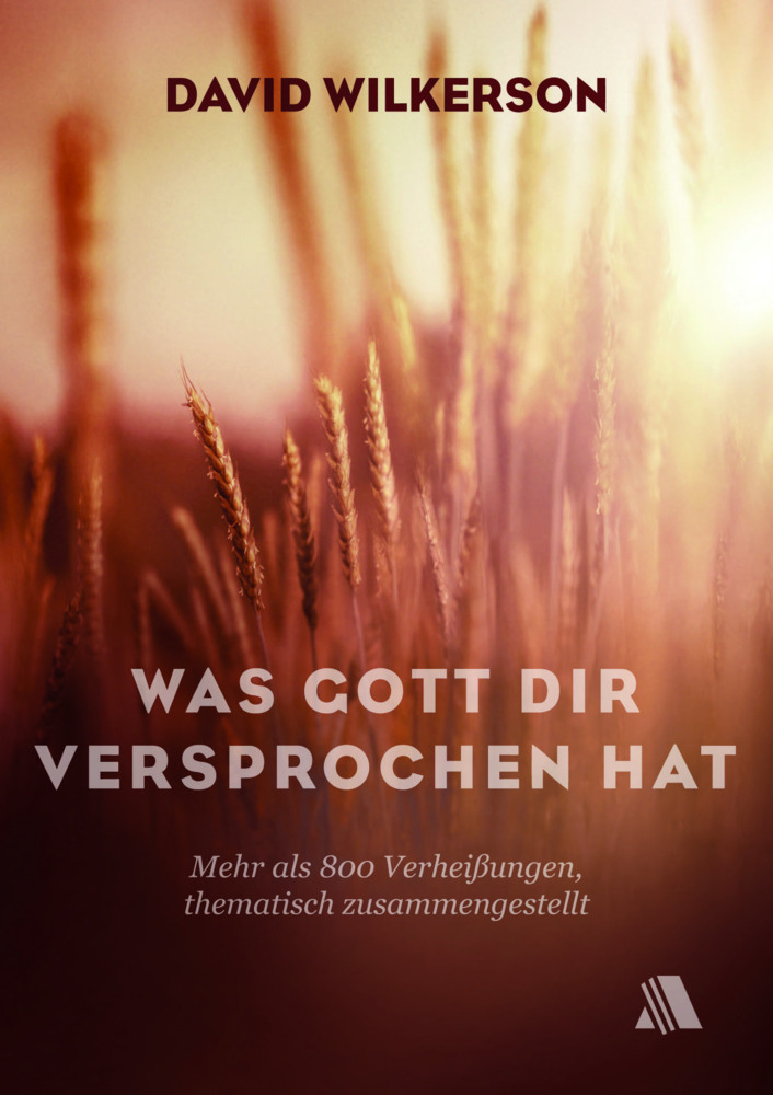 Cover: 9783940188885 | Was Gott dir versprochen hat | David Wilkerson | Taschenbuch | 2014