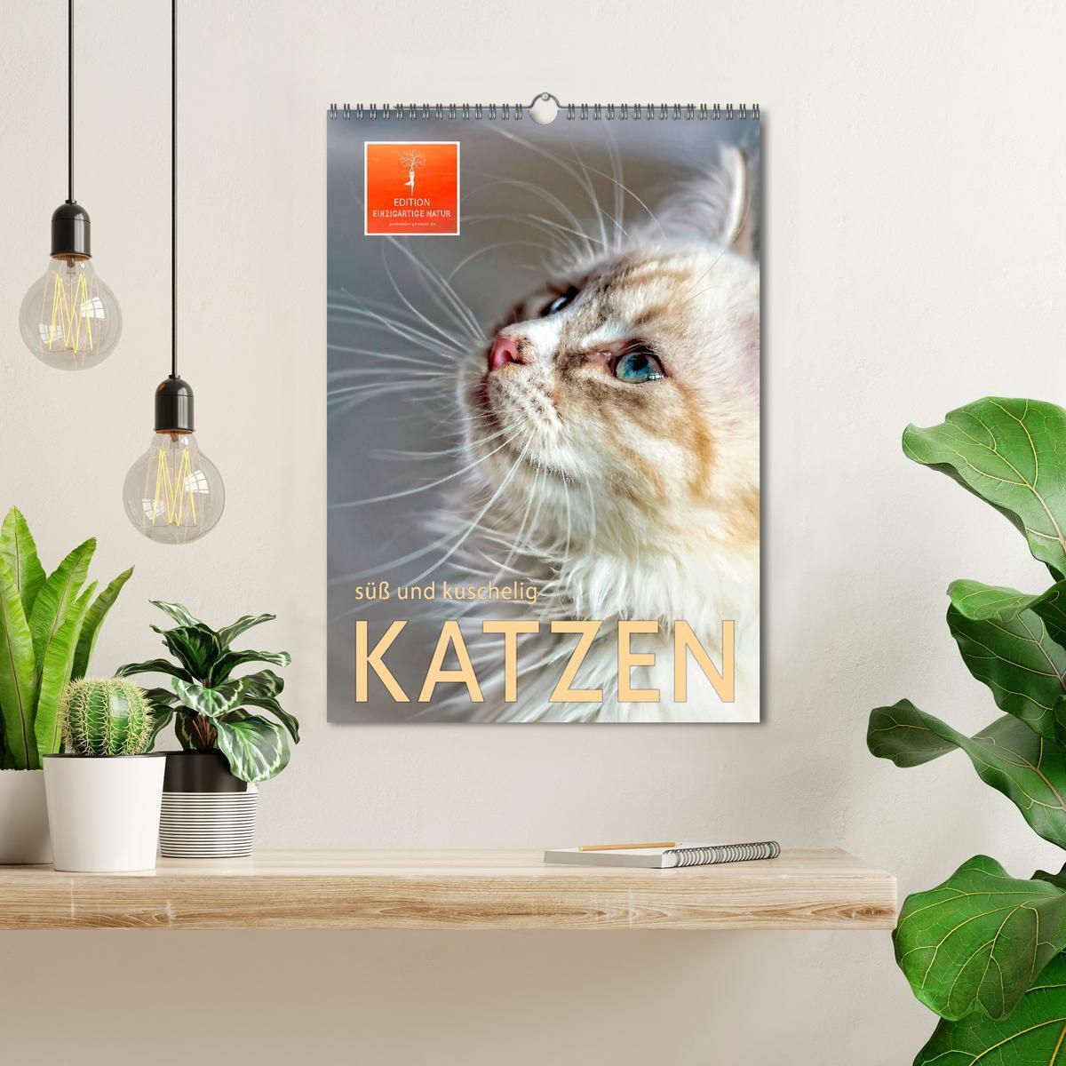 Bild: 9783435928514 | Katzen - süß und kuschelig (Wandkalender 2025 DIN A3 hoch),...