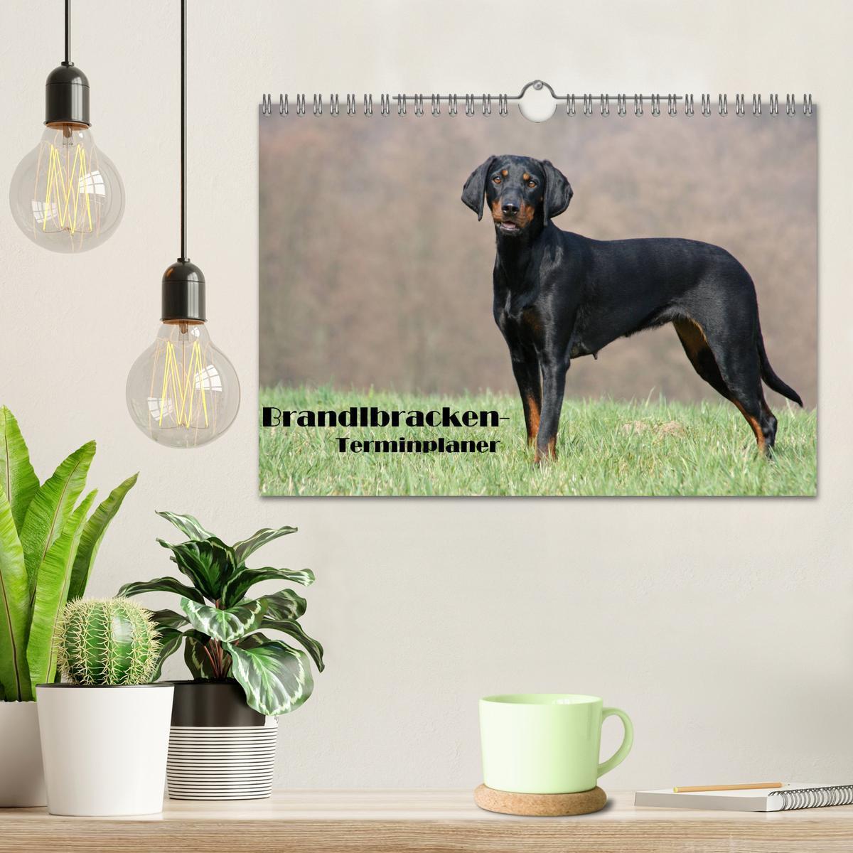 Bild: 9783435455089 | Der Brandlbracken-Terminplaner (Wandkalender 2025 DIN A4 quer),...