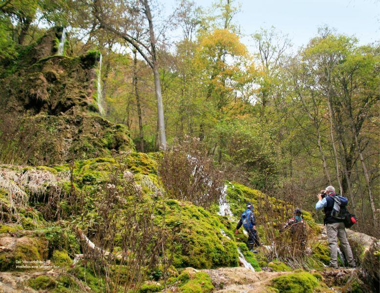 Bild: 9783862467044 | Premiumwanderwege Schwäbische Alb | Dieter Buck | Taschenbuch | 160 S.