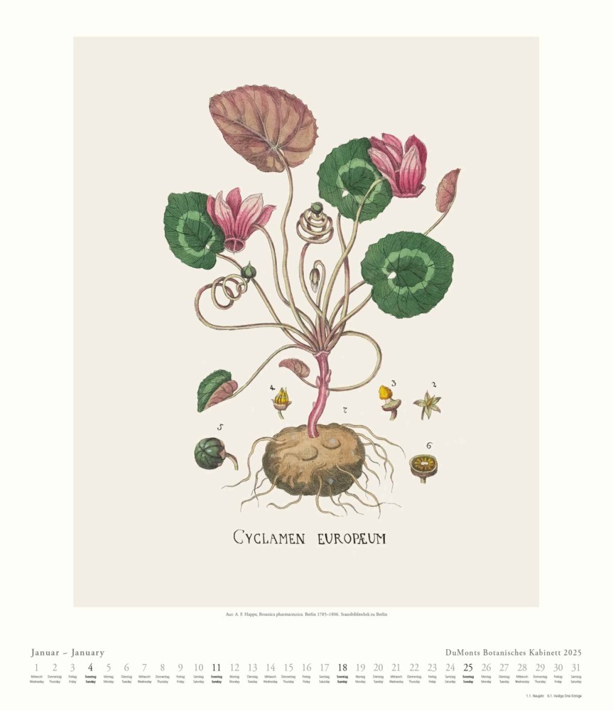 Bild: 4250809652986 | DUMONT - DUMONTS Botanisches Kabinett 2025 Wandkalender, 34,5x40cm,...