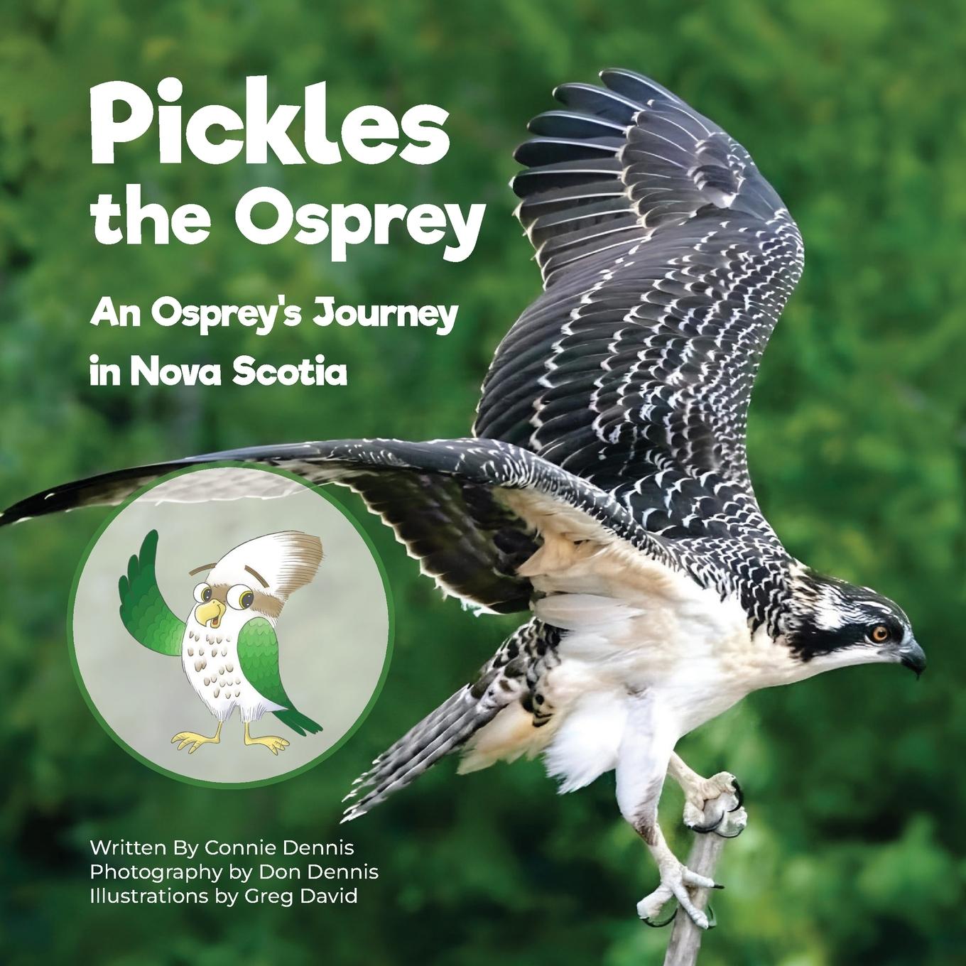 Cover: 9781998057108 | Pickles the Osprey | An Osprey's Journey in Nova Scotia | Dennis