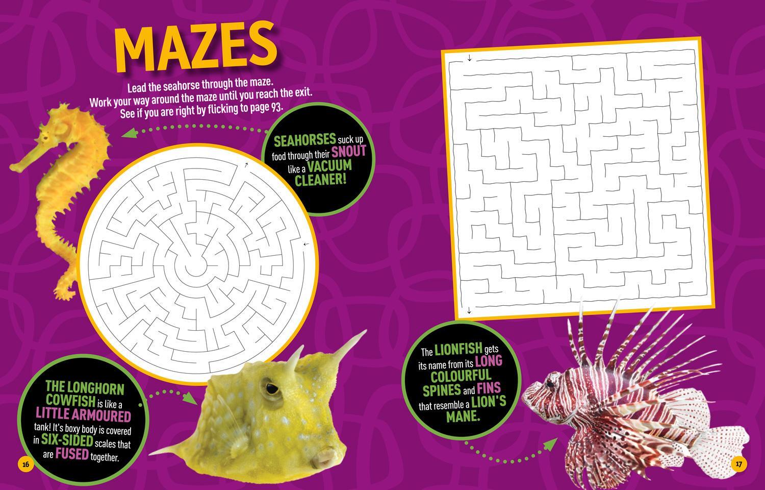 Bild: 9780008321512 | Puzzle Book Under the Sea | National Geographic Kids | Taschenbuch