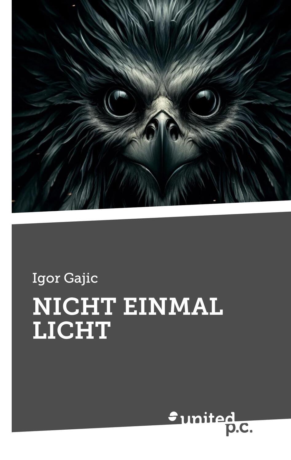 Cover: 9783710312960 | NICHT EINMAL LICHT | Igor Gajic | Taschenbuch | Paperback | 280 S.