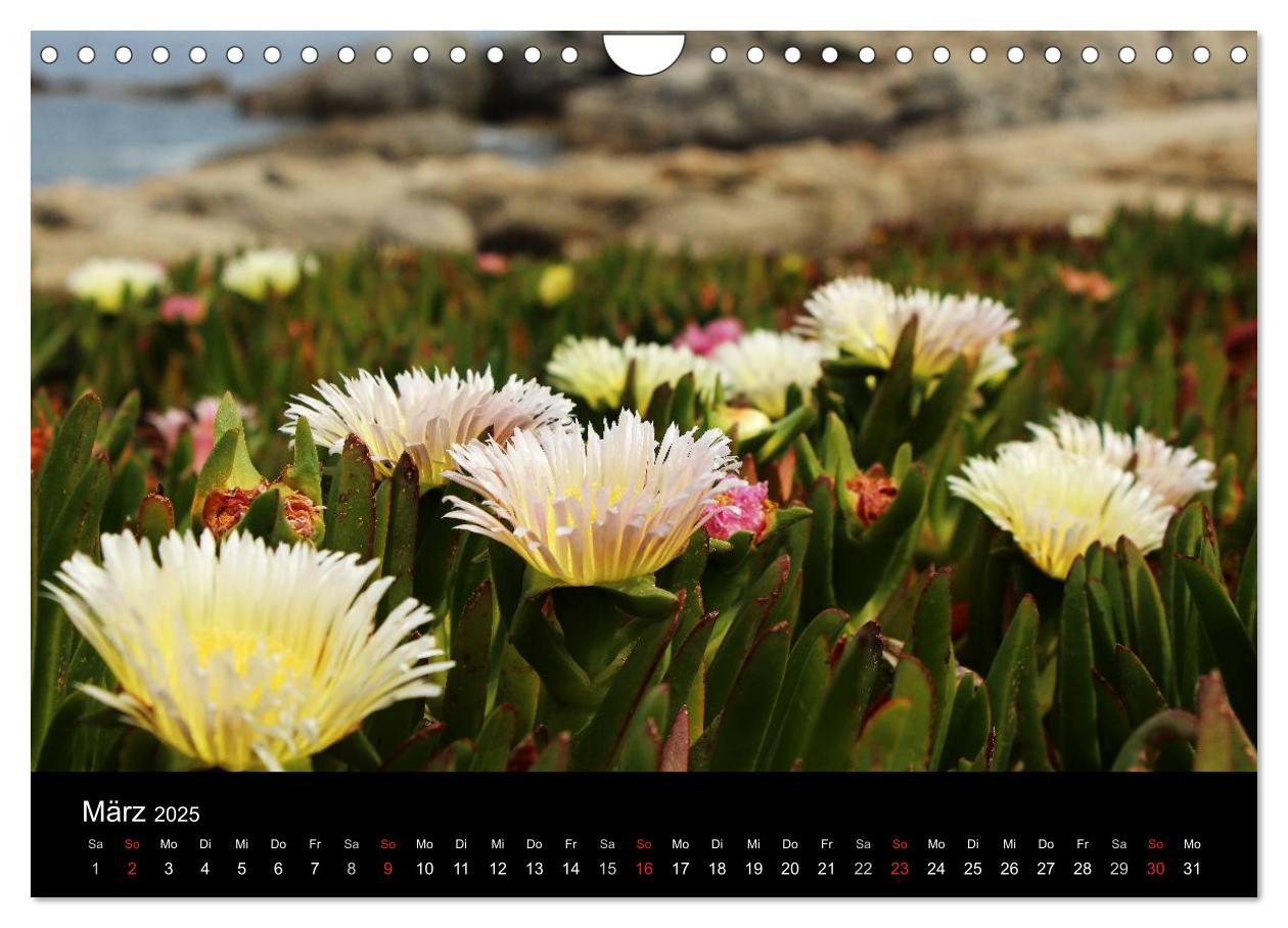 Bild: 9783435466177 | Korsika - Mediterrane Vielfalt (Wandkalender 2025 DIN A4 quer),...