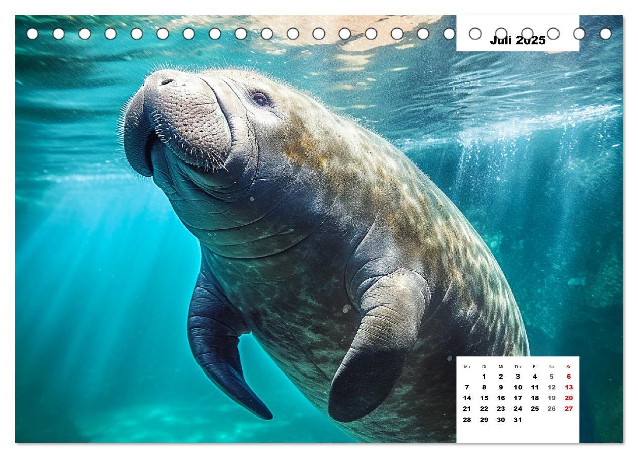 Bild: 9783383893902 | Manatees. Faszinierende Rundschwanzseekühe (Tischkalender 2025 DIN...