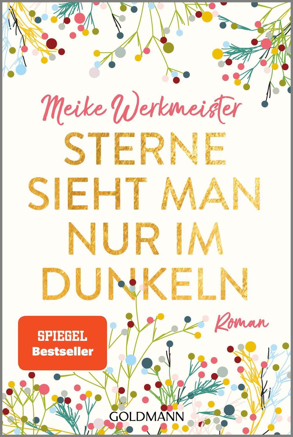 Cover: 9783442487875 | Sterne sieht man nur im Dunkeln | Roman | Meike Werkmeister | Buch