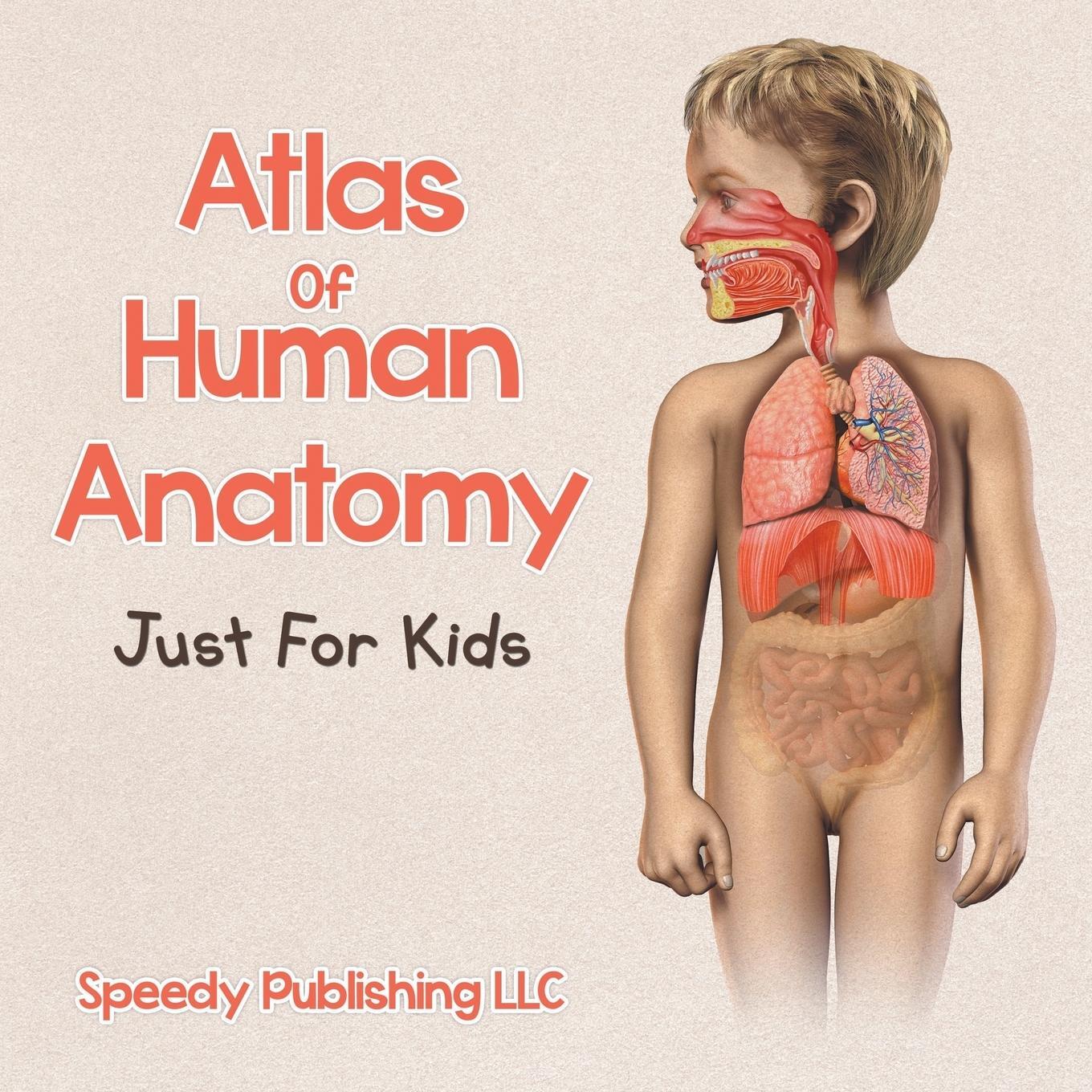 Cover: 9781681275536 | Atlas Of Human Anatomy Just For Kids | Speedy Publishing Llc | Buch