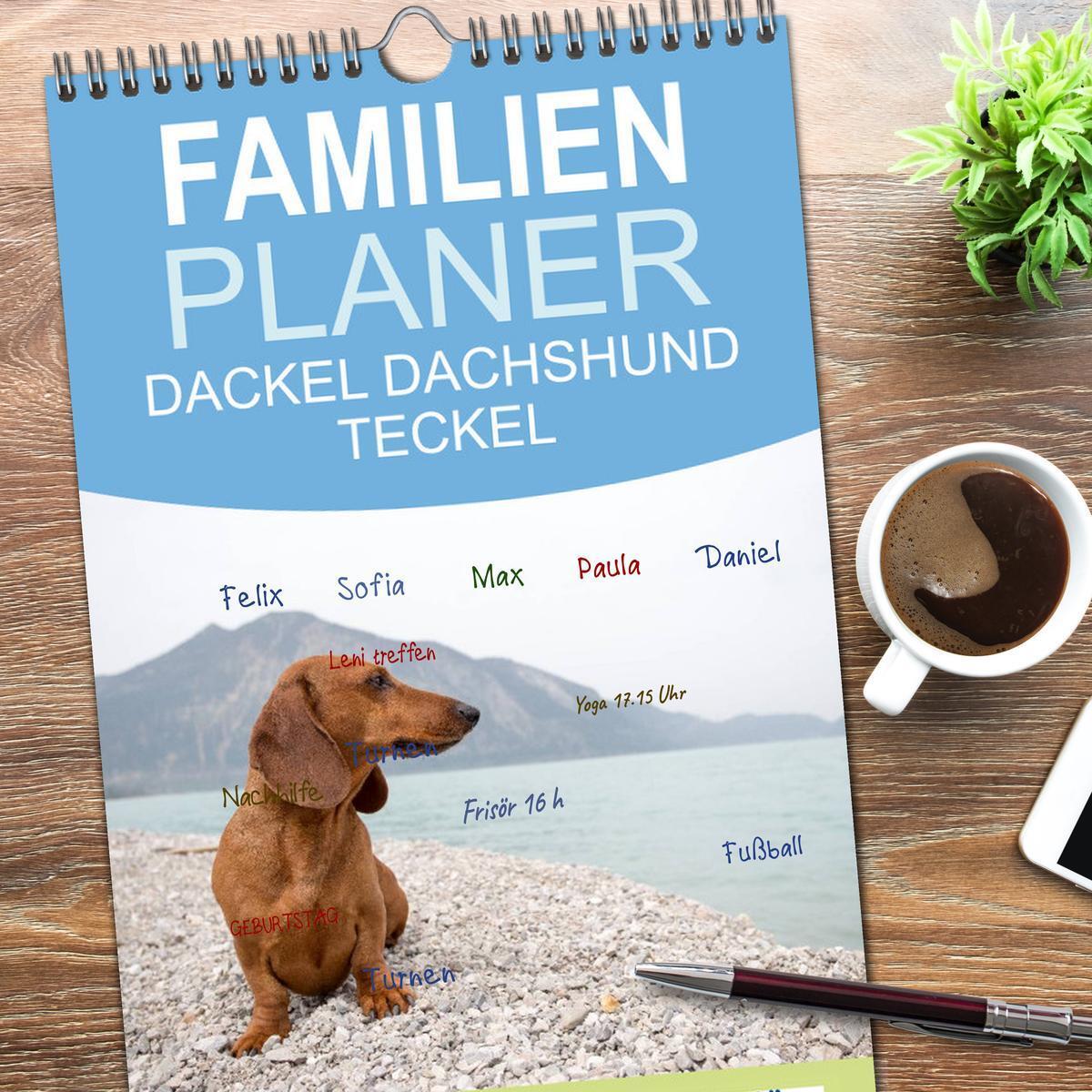 Bild: 9783457120163 | Familienplaner 2025 - DACKEL DACHSHUND TECKEL 2025 mit 5 Spalten...