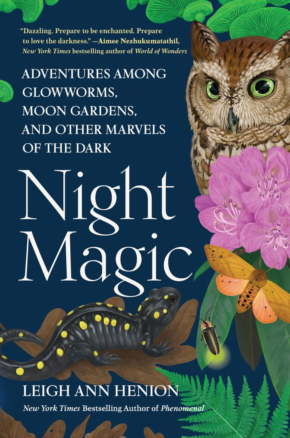 Cover: 9781643753362 | Night Magic | Leigh Ann Henion | Buch | Englisch | 2024