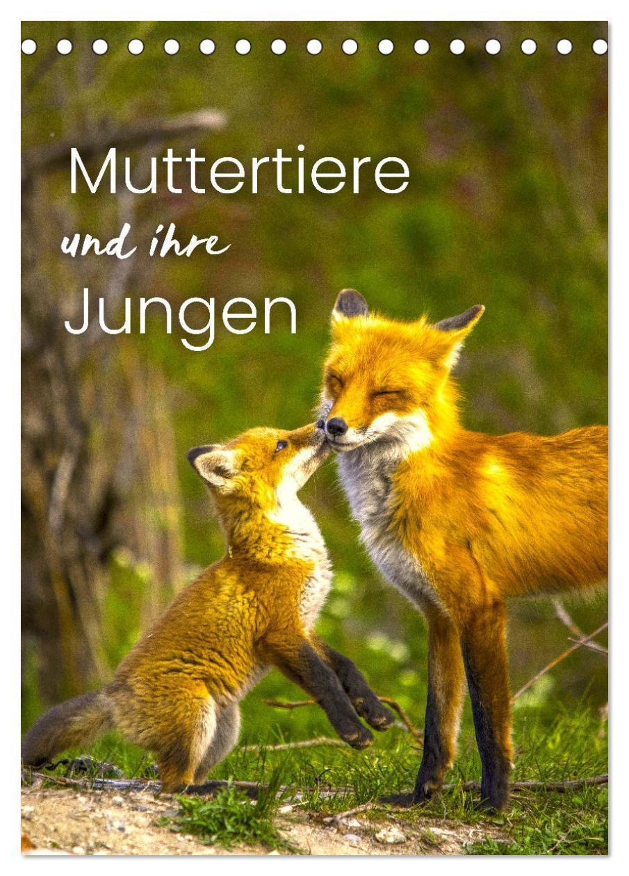 Cover: 9783435898558 | Muttertiere und ihre Jungen (Tischkalender 2025 DIN A5 hoch),...