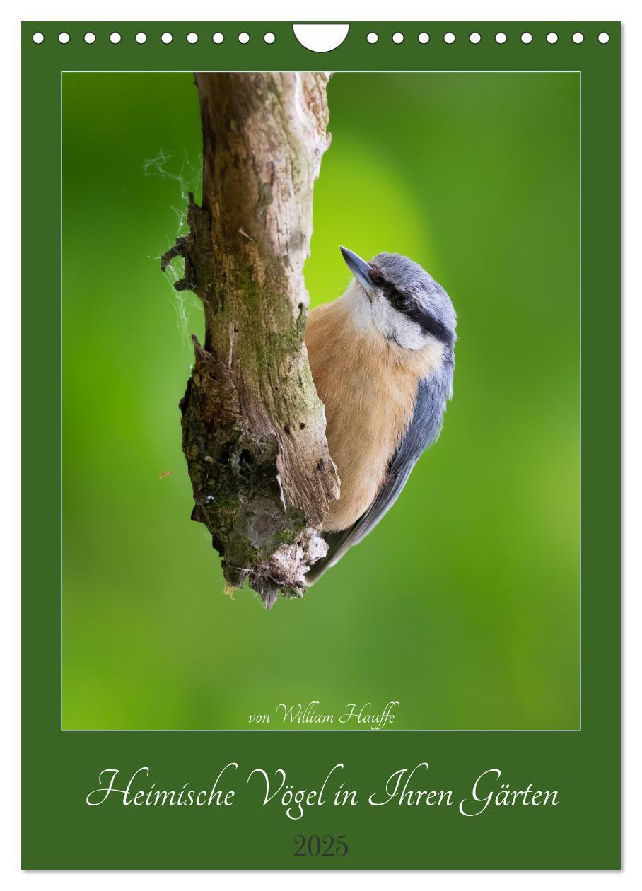 Cover: 9783435891641 | Heimische Vögel in Ihren Gärten (Wandkalender 2025 DIN A4 hoch),...