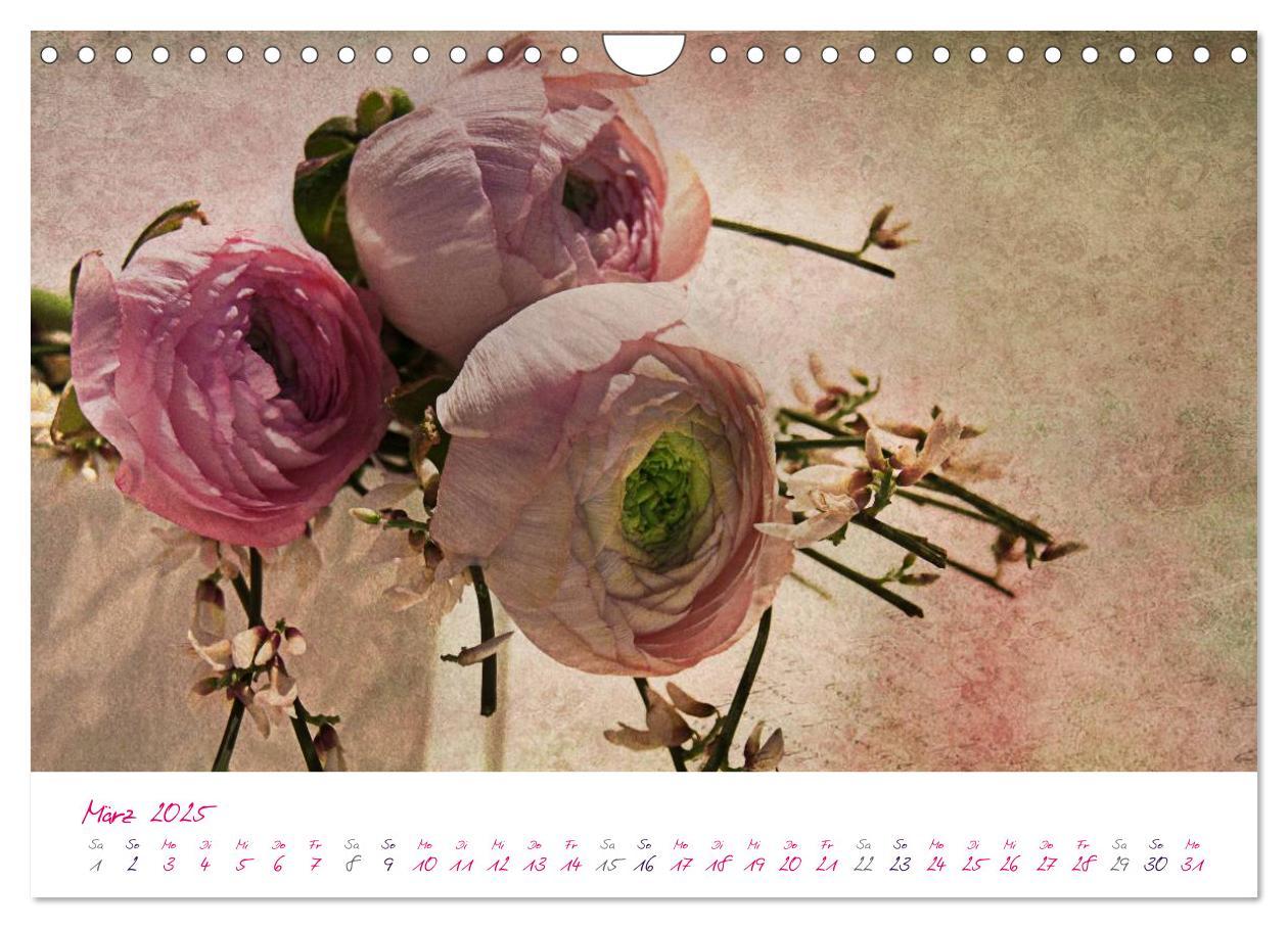 Bild: 9783435831036 | Momente in Rosa (Wandkalender 2025 DIN A4 quer), CALVENDO...