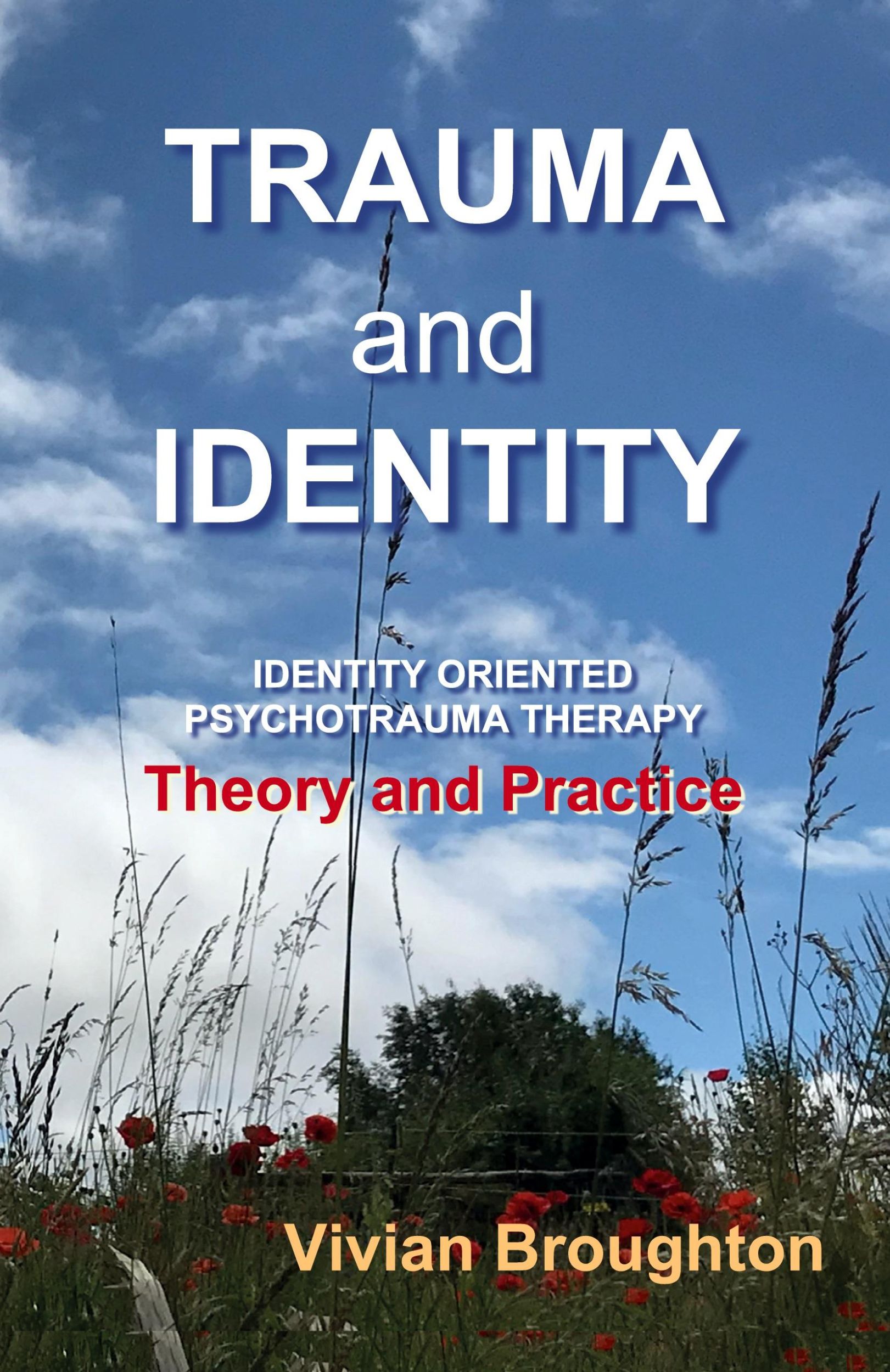 Cover: 9781838141912 | Trauma and Identity | Vivian Broughton | Taschenbuch | Paperback