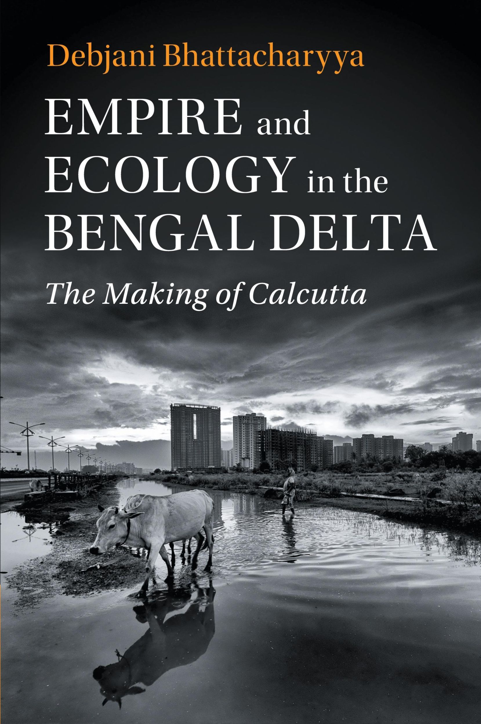 Cover: 9781108443340 | Empire and Ecology in the Bengal Delta | Debjani Bhattacharyya | Buch