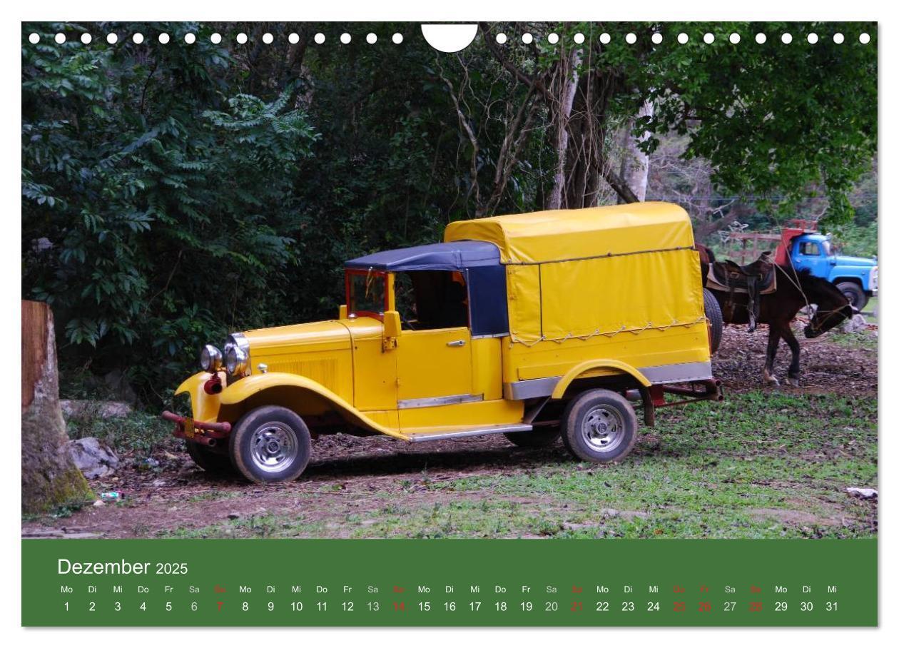 Bild: 9783435819348 | Cars of Cuba 2025 (Wandkalender 2025 DIN A4 quer), CALVENDO...