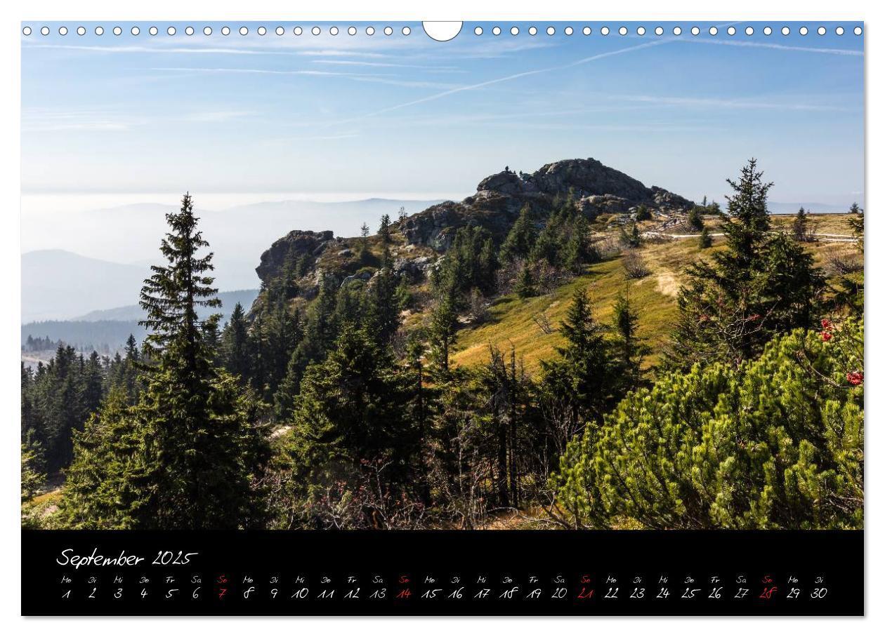 Bild: 9783435810550 | Bayerischer Wald (Wandkalender 2025 DIN A3 quer), CALVENDO...