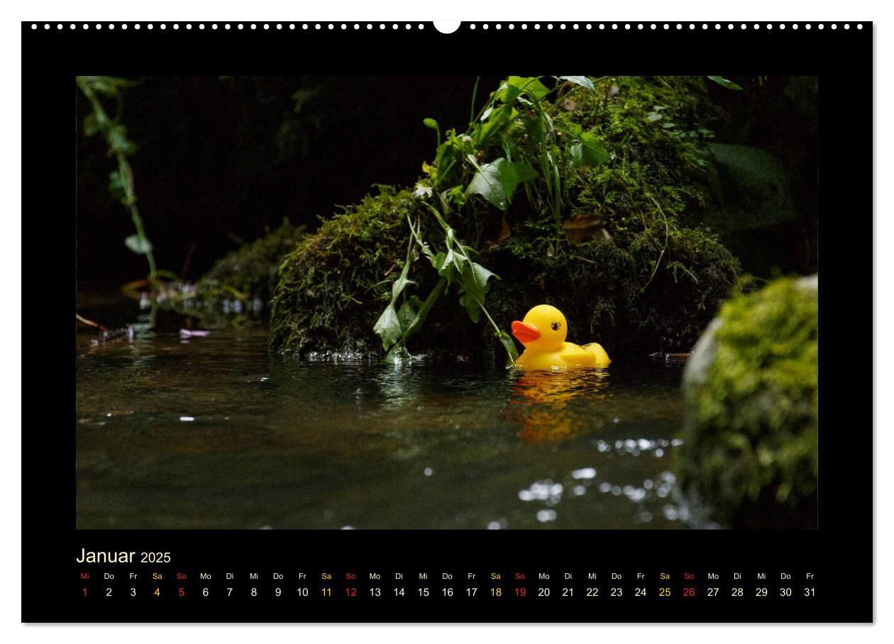 Bild: 9783435691555 | Enten-Rennen (Wandkalender 2025 DIN A2 quer), CALVENDO Monatskalender