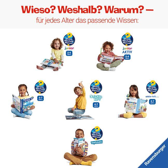 Bild: 9783473600267 | Wieso? Weshalb? Warum? Erstleser, Band 8: Ozeane | Carola von Kessel