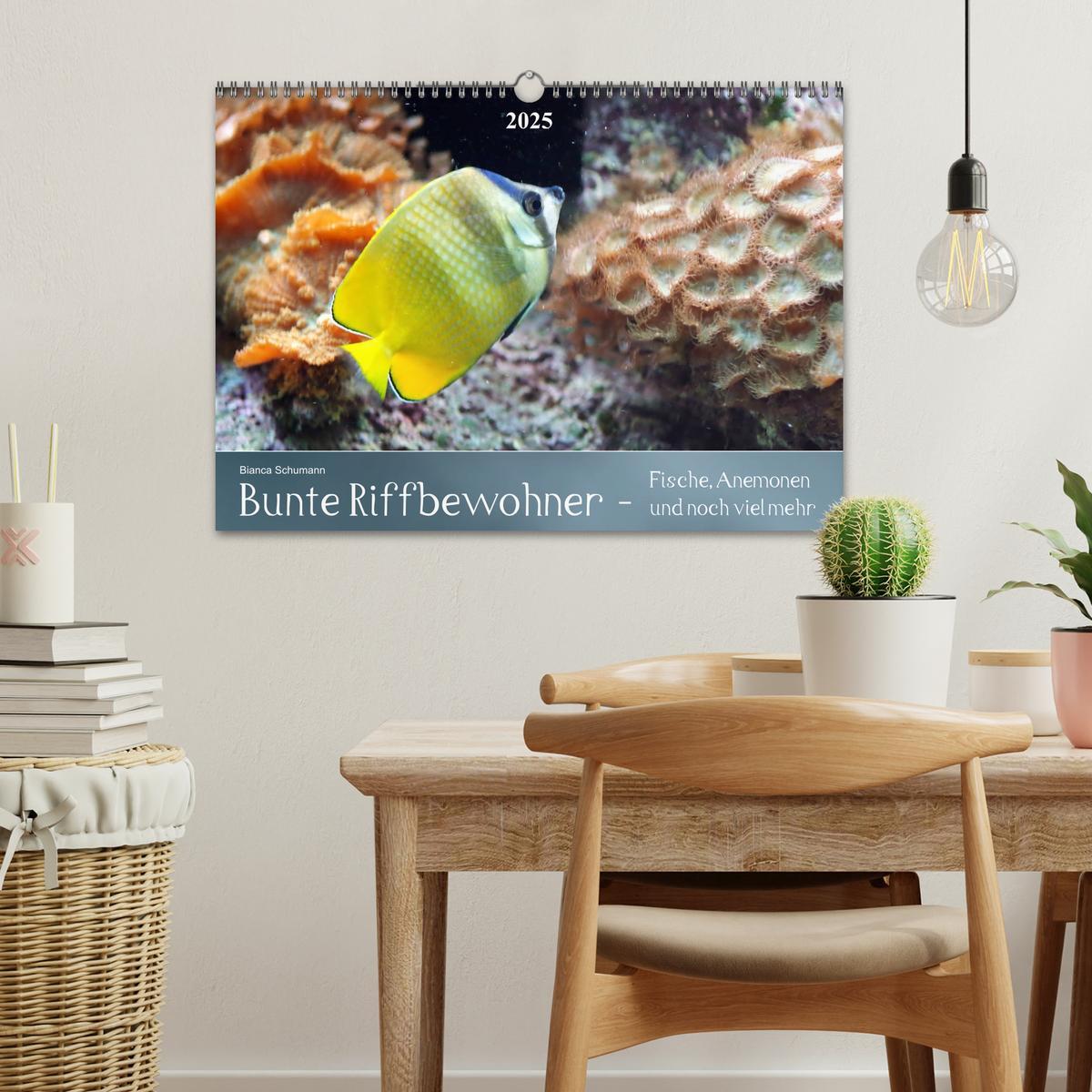 Bild: 9783435690534 | Bunte Riffbewohner - Fische, Anemonen und noch viel mehr...