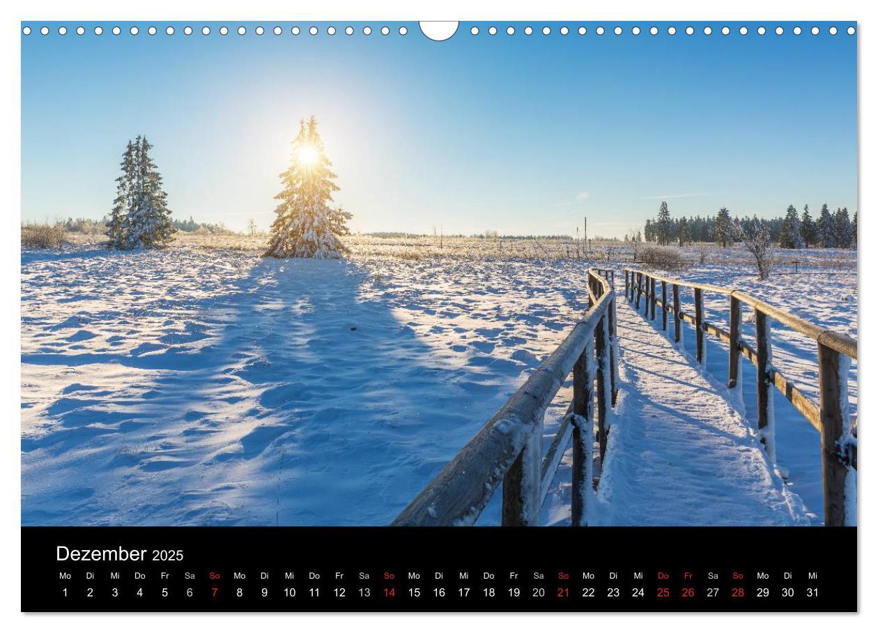 Bild: 9783435557707 | HOHES VENN - Einblicke in ein Hochmoor (Wandkalender 2025 DIN A3...