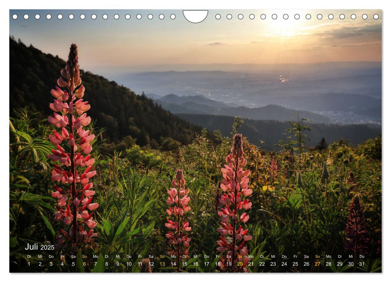 Bild: 9783457235409 | Faszination Schwarzwald (Wandkalender 2025 DIN A4 quer), CALVENDO...