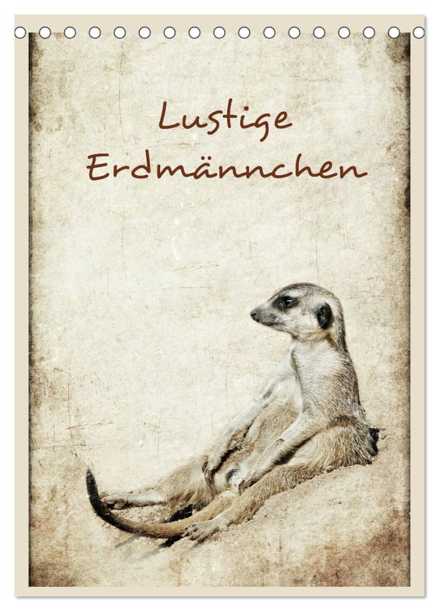 Cover: 9783457080115 | Lustige Erdmännchen (Tischkalender 2025 DIN A5 hoch), CALVENDO...