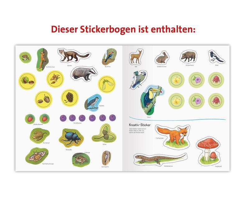 Bild: 9783473329731 | Wieso? Weshalb? Warum? aktiv-Heft: Wald | Stefan Richter | Taschenbuch