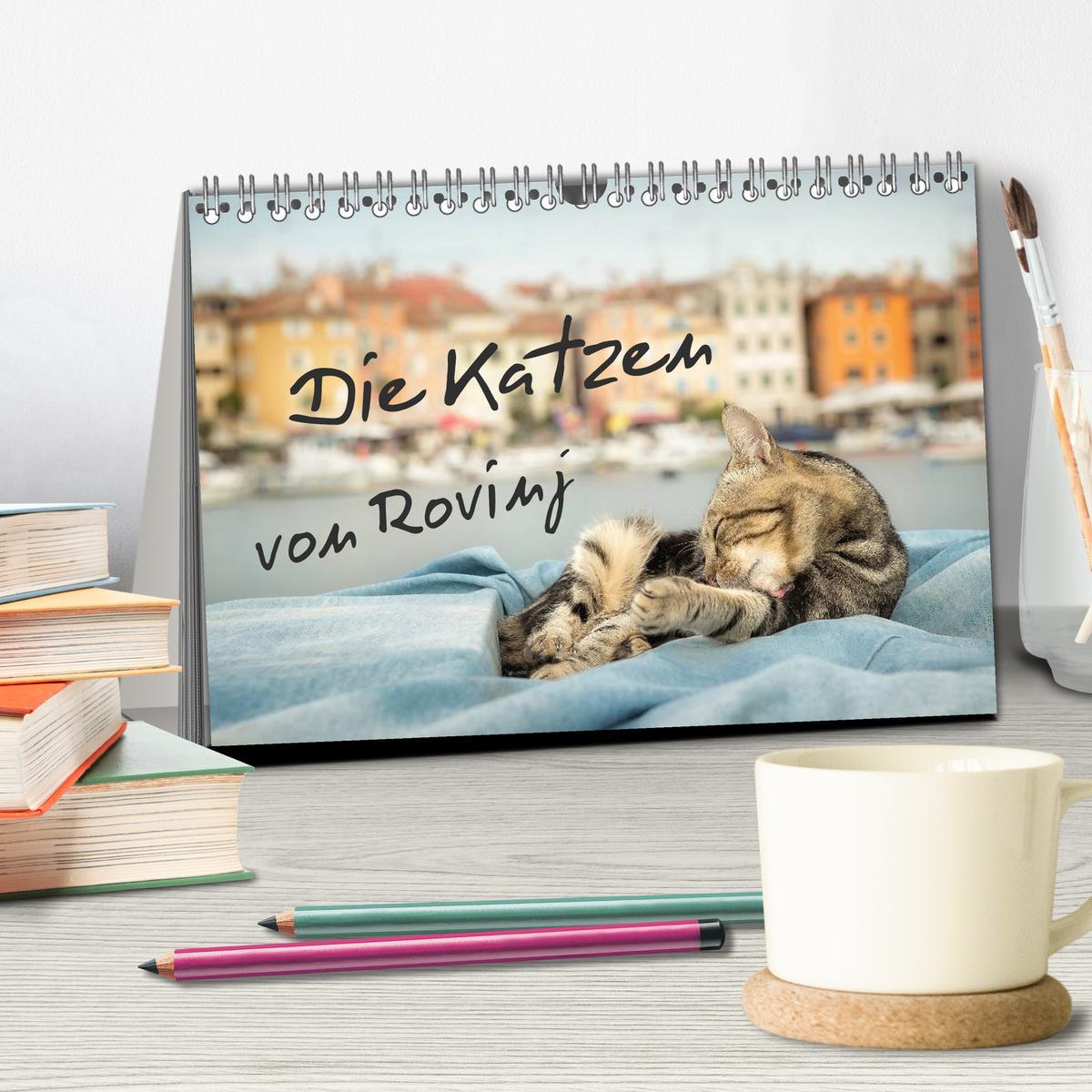 Bild: 9783435575527 | Die Katzen von Rovinj (Tischkalender 2025 DIN A5 quer), CALVENDO...