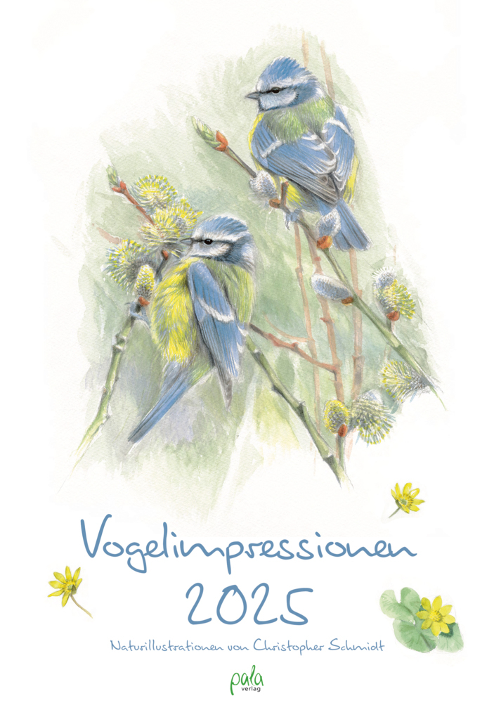 Cover: 9783895664373 | Vogelimpressionen 2025 | Naturillustrationen von Christopher Schmidt