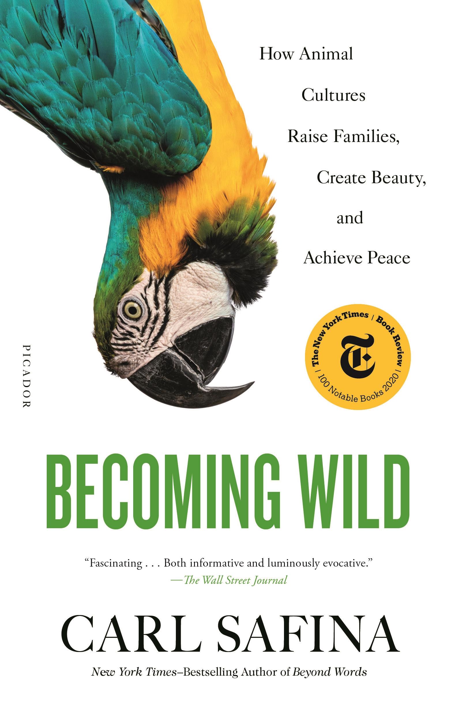 Cover: 9781250787613 | Becoming Wild | Carl Safina | Taschenbuch | Kartoniert / Broschiert