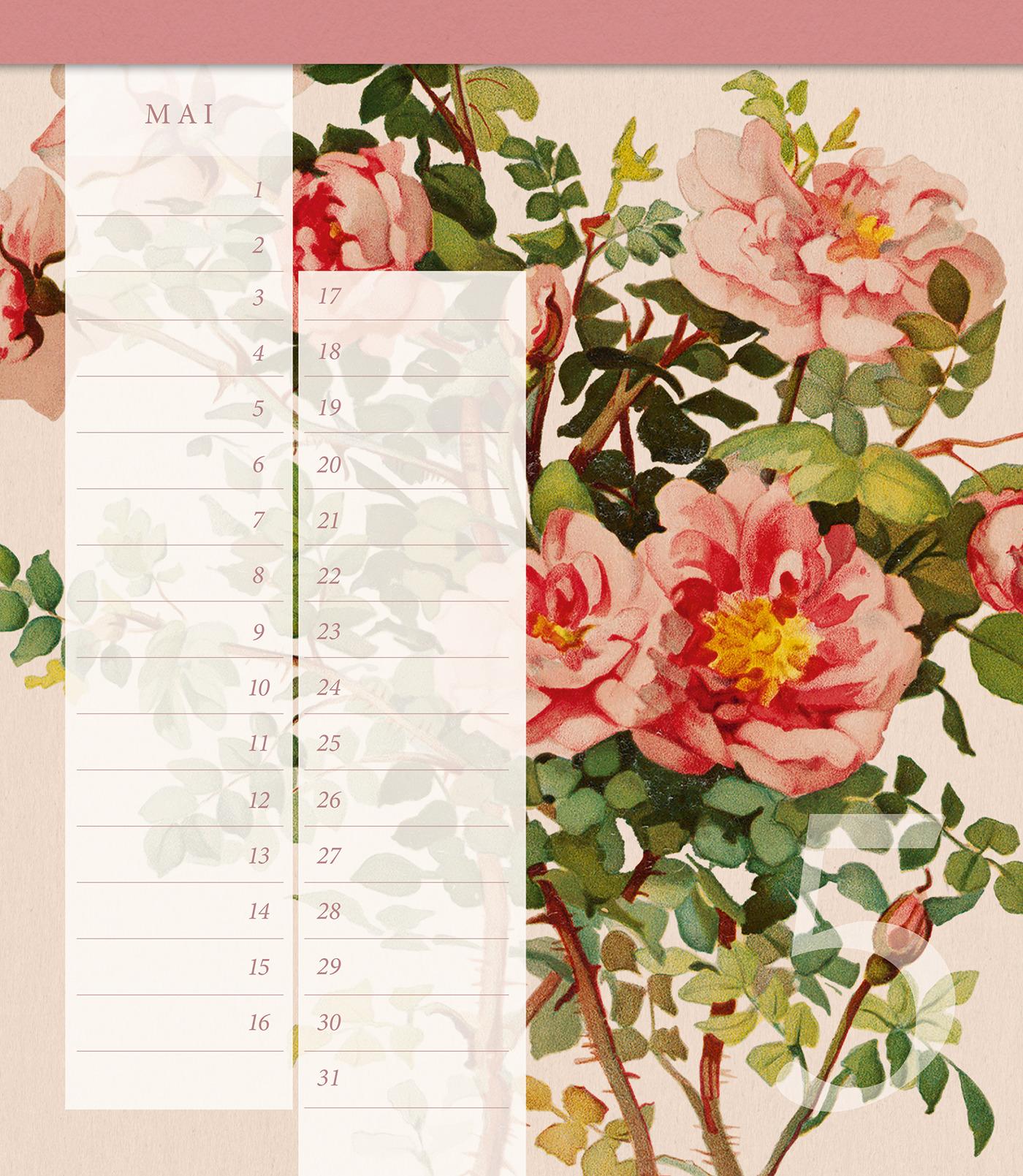 Bild: 4250915935348 | Geschichte der Rose Geburtstagskalender | Kalender | 16 S. | Deutsch