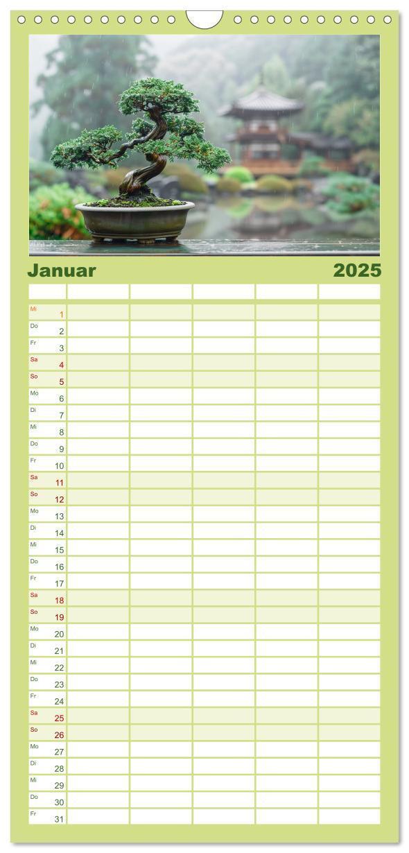 Bild: 9783457153901 | Familienplaner 2025 - Bonsai meditativ mit 5 Spalten (Wandkalender,...