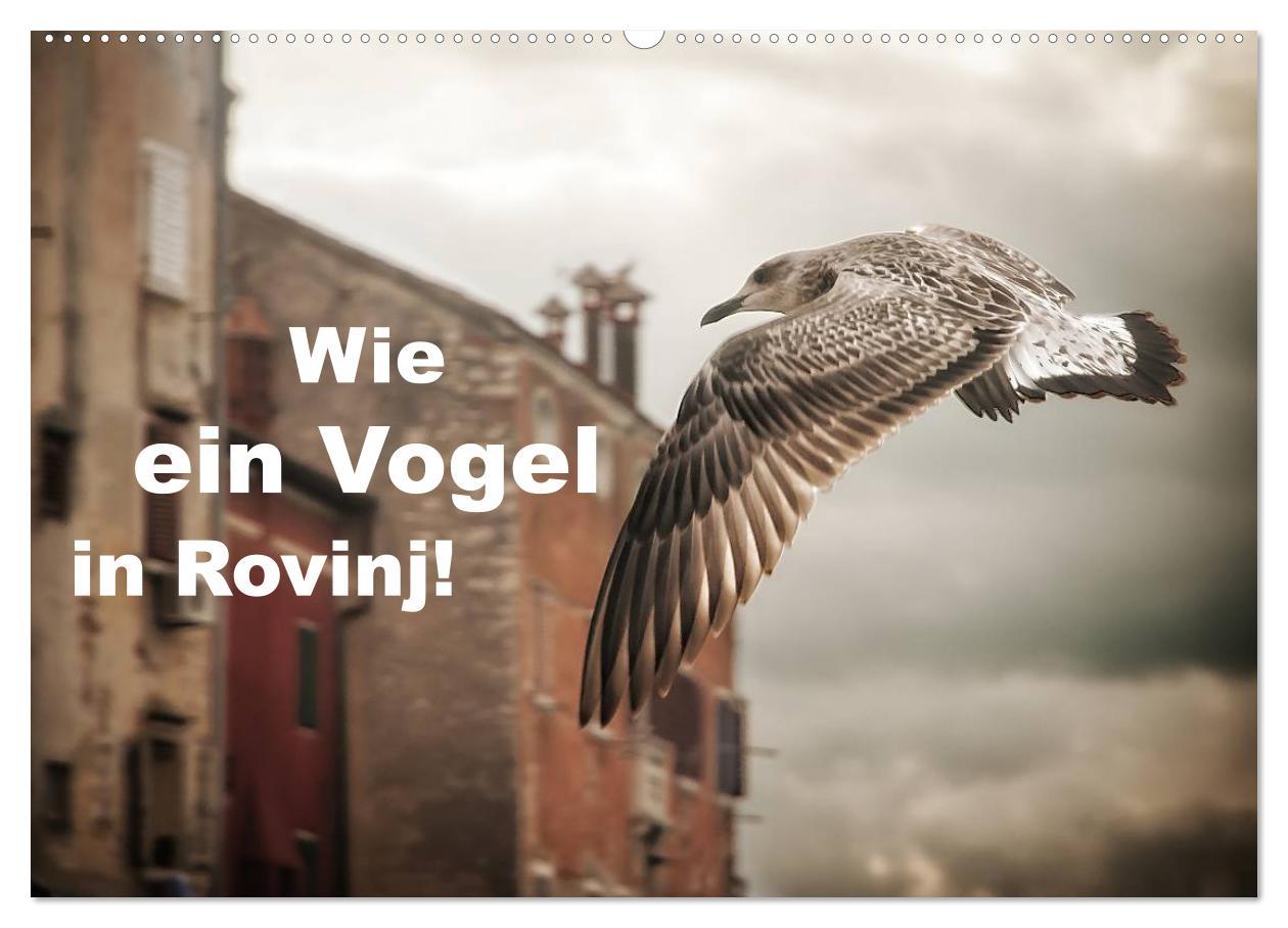 Cover: 9783435570232 | Wie ein Vogel in Rovinj! (Wandkalender 2025 DIN A2 quer), CALVENDO...