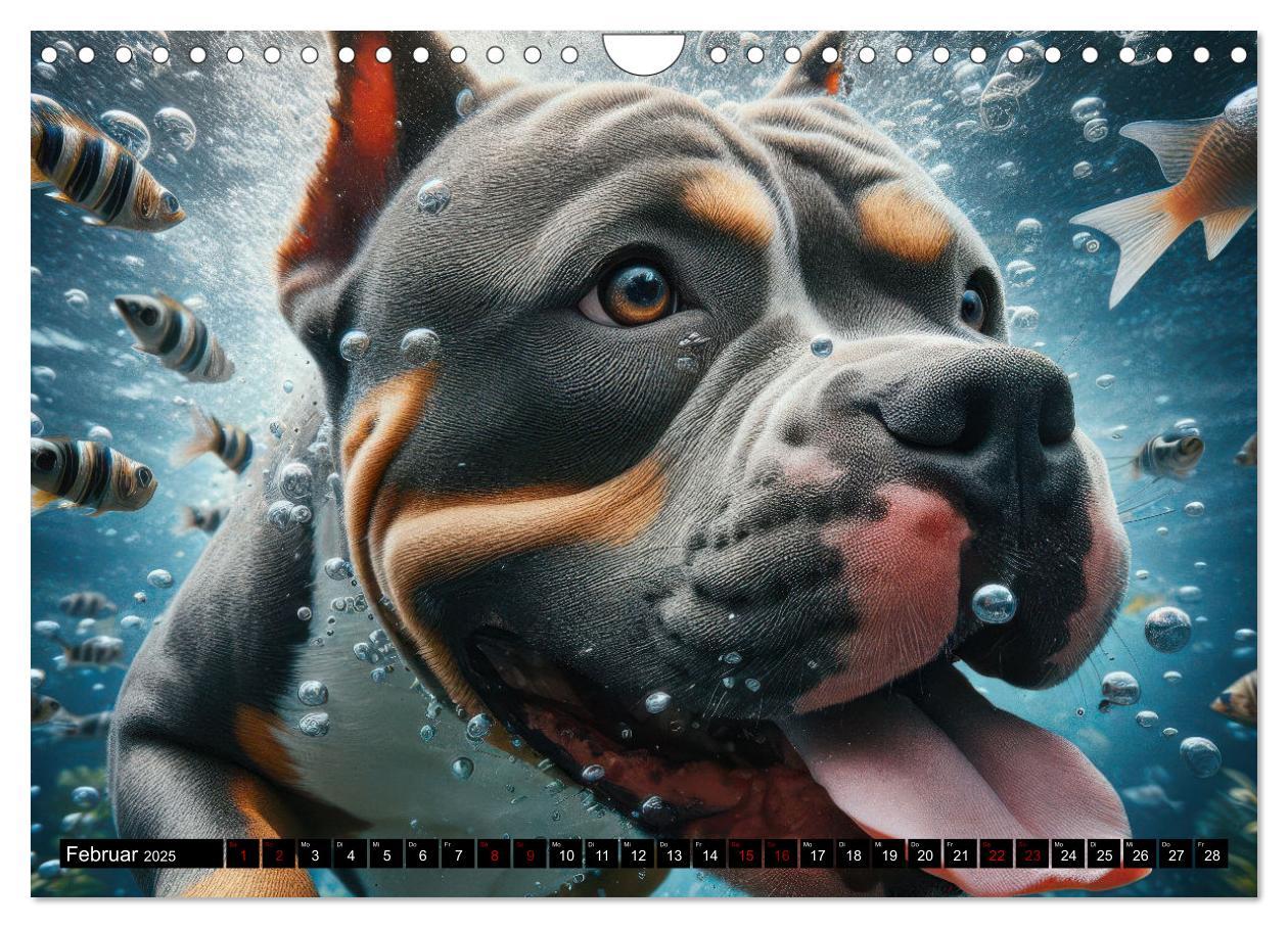 Bild: 9783457150429 | Badespaß - Hunde unter Wasser (Wandkalender 2025 DIN A4 quer),...