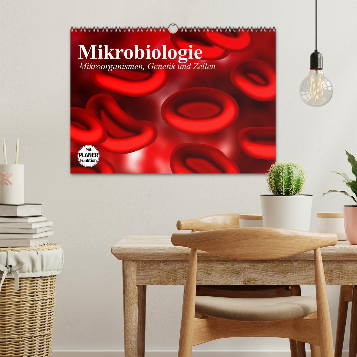 Bild: 9783435483372 | Mikrobiologie. Mikroorganismen, Genetik und Zellen (Wandkalender...