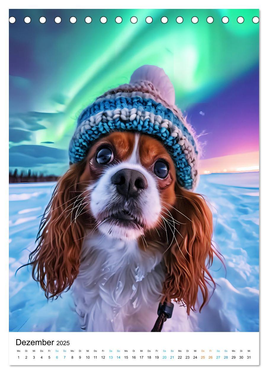 Bild: 9783383763489 | Cavalier King Charles Spaniel - Lustige Weltenreise im Selfie-Modus...