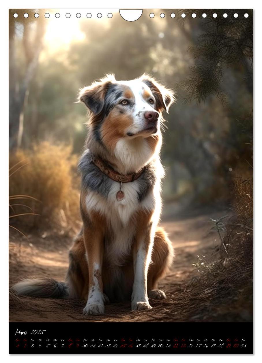 Bild: 9783435872602 | Australian Shepherd (Wandkalender 2025 DIN A4 hoch), CALVENDO...