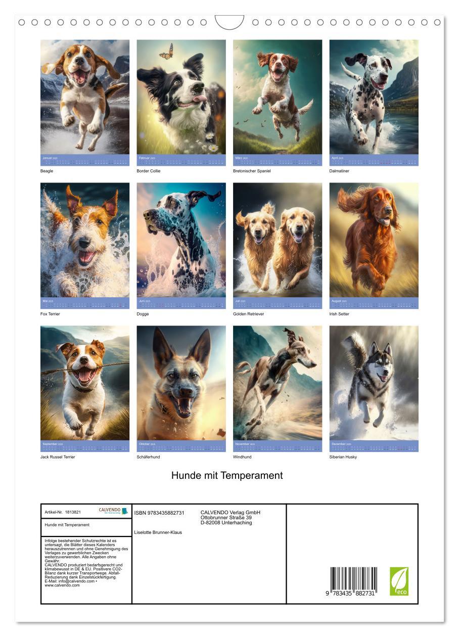 Bild: 9783435882731 | Hunde mit Temperament (Wandkalender 2025 DIN A3 hoch), CALVENDO...